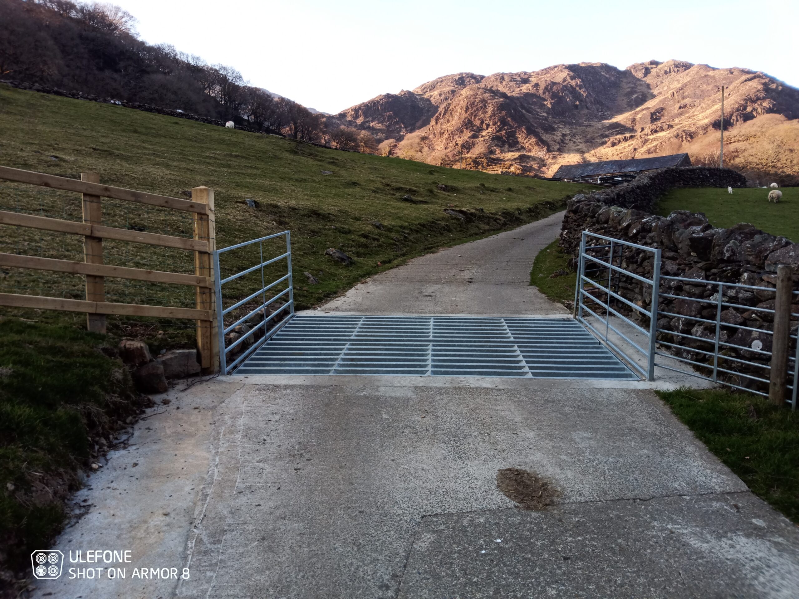 main photo 50 ton (1)